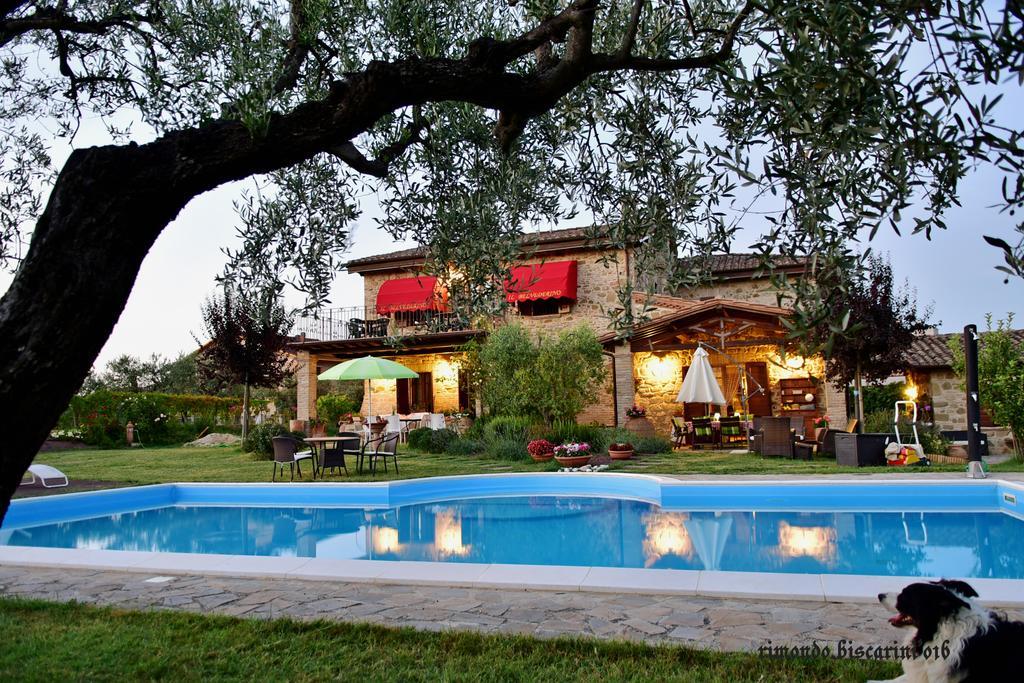 Il Belvederino Bed & Breakfast Brufa Dış mekan fotoğraf
