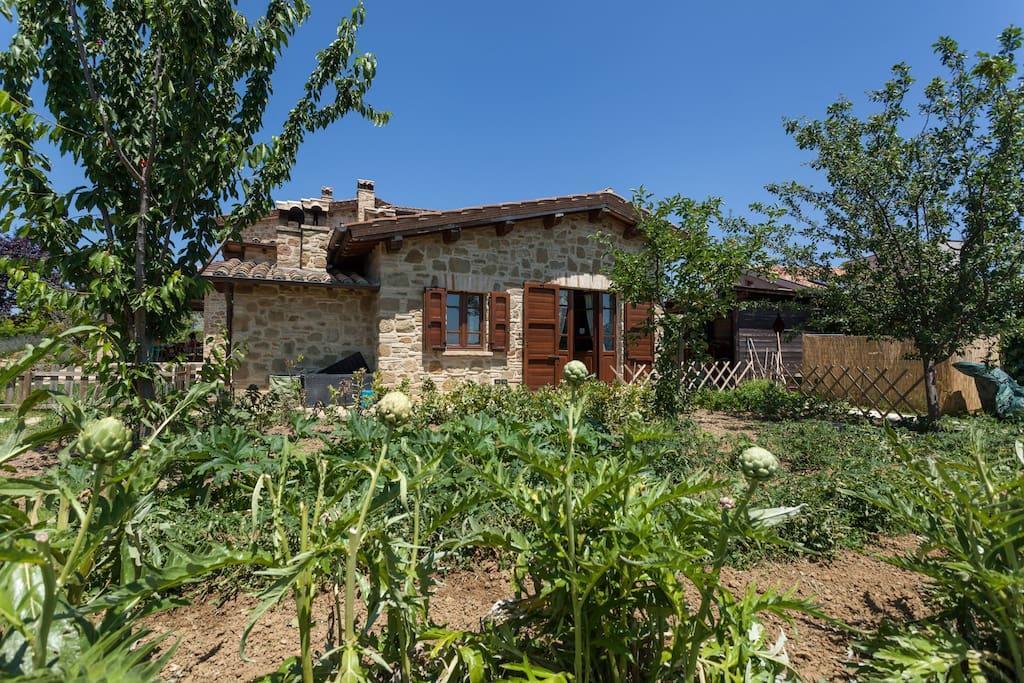 Il Belvederino Bed & Breakfast Brufa Dış mekan fotoğraf